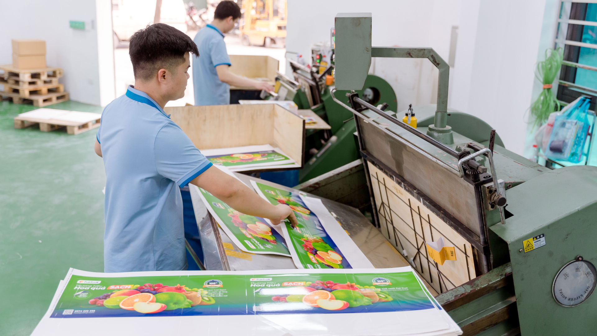 Professional Industrial Production Facility